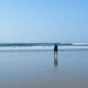 Meet your Posher, Audrey